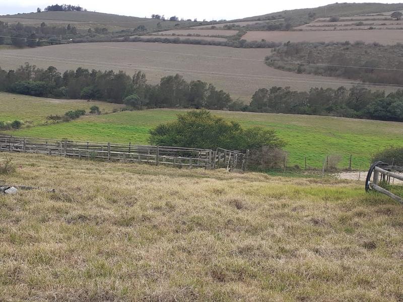 0 Bedroom Property for Sale in Albertinia Western Cape